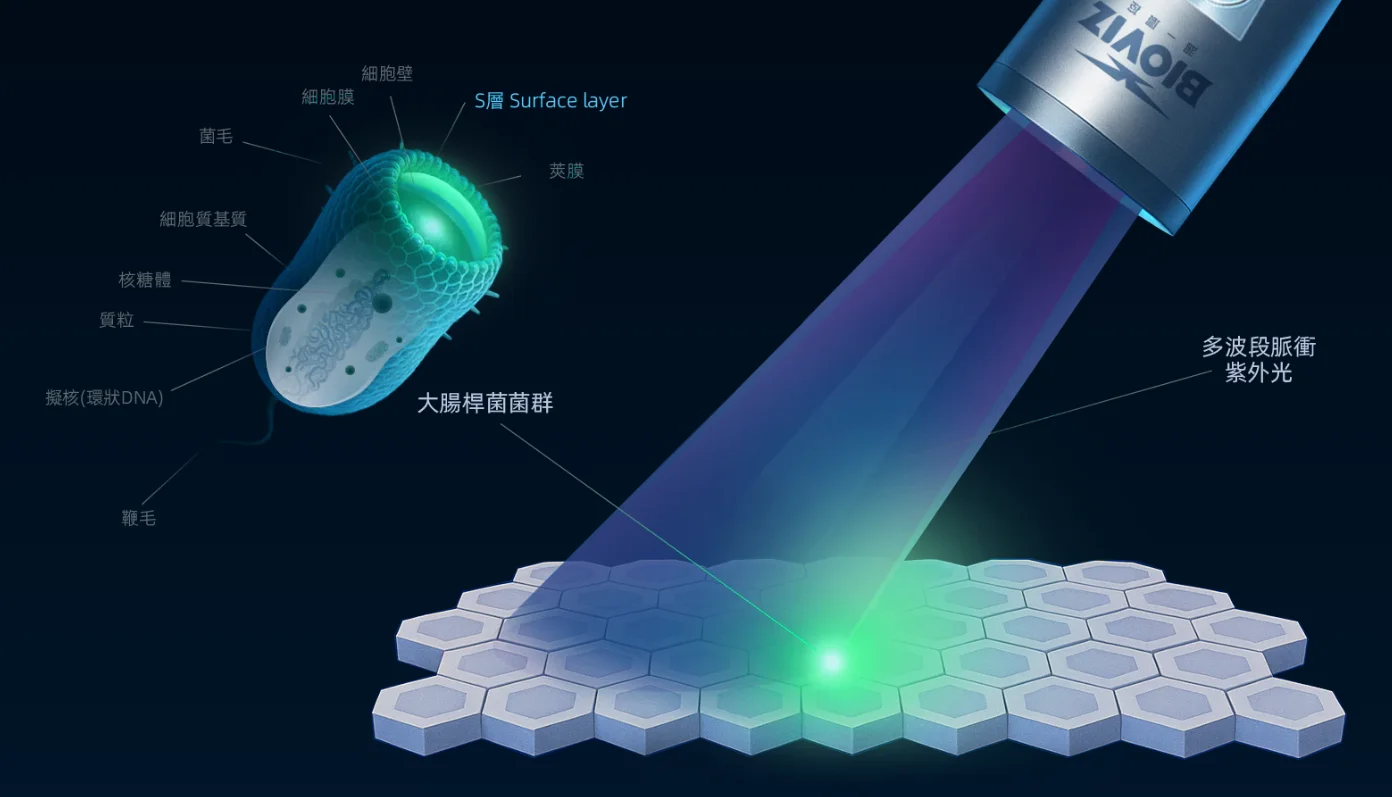 Bioviz 細菌現形技術原理