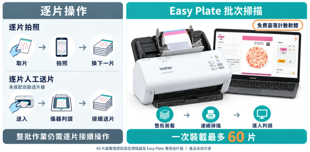 逐片拍照、人工送片與 Easy Plate 最多 60 片批次掃描的菌落計數流程比較